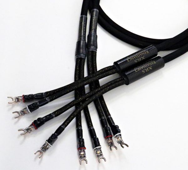 Renaissance XRS 喇叭線