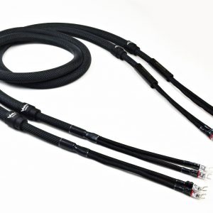 Stradivarius Amati 喇叭線