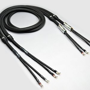 Stradivarius Cremona 喇叭線